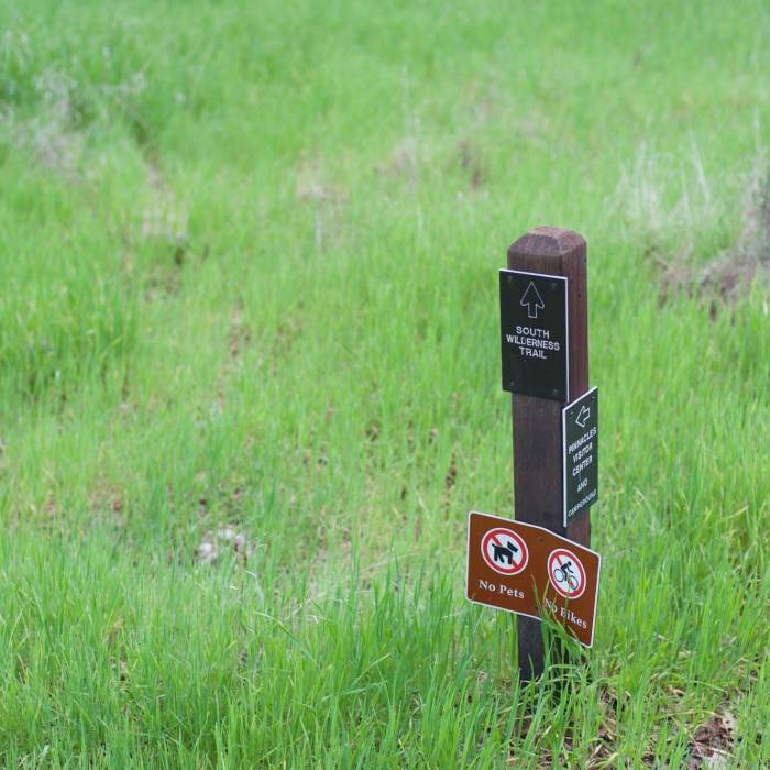Near South Wilderness Trail
