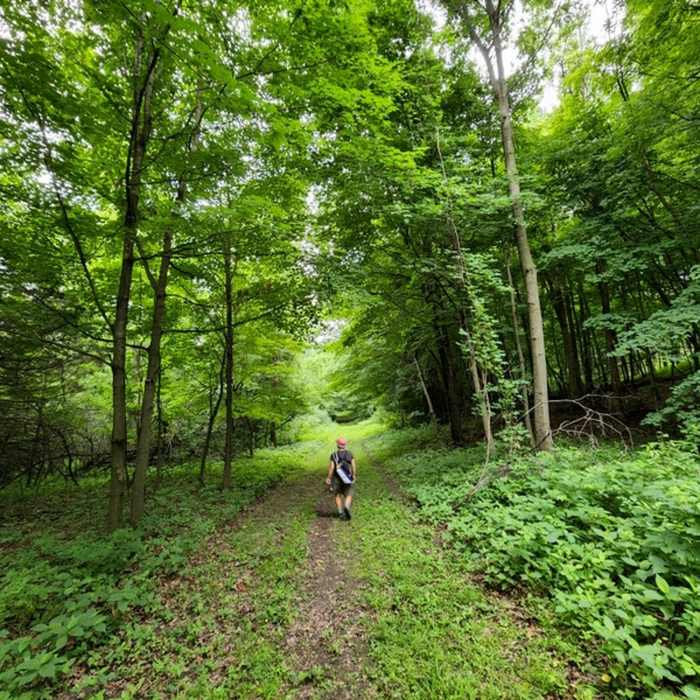 Near Cannon River Wilderness Trail (West)