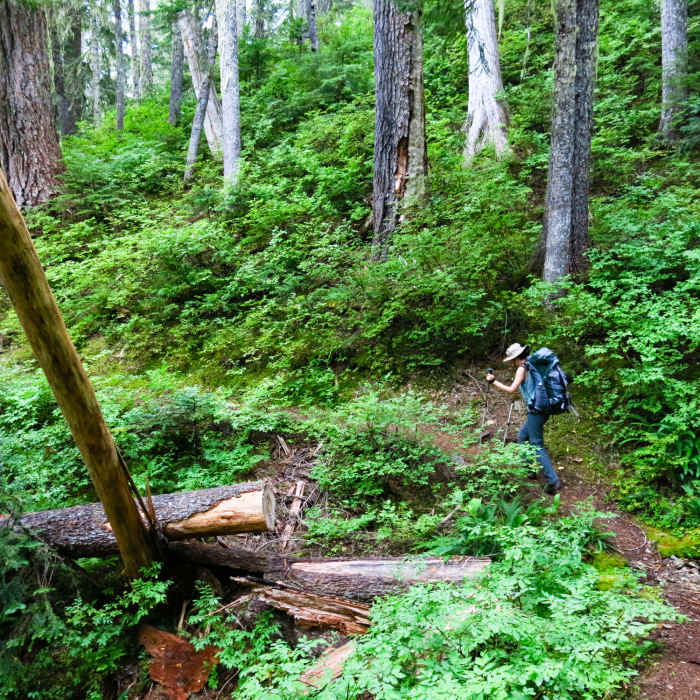 Working our way up one of the many switchbacks on Hannegan Pass Trail. Near Hannegan Pass Trail