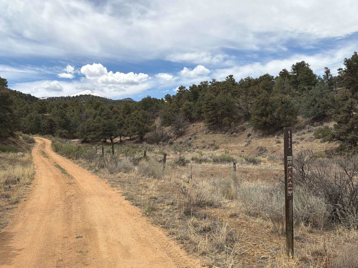 BLM 6195A trail photo