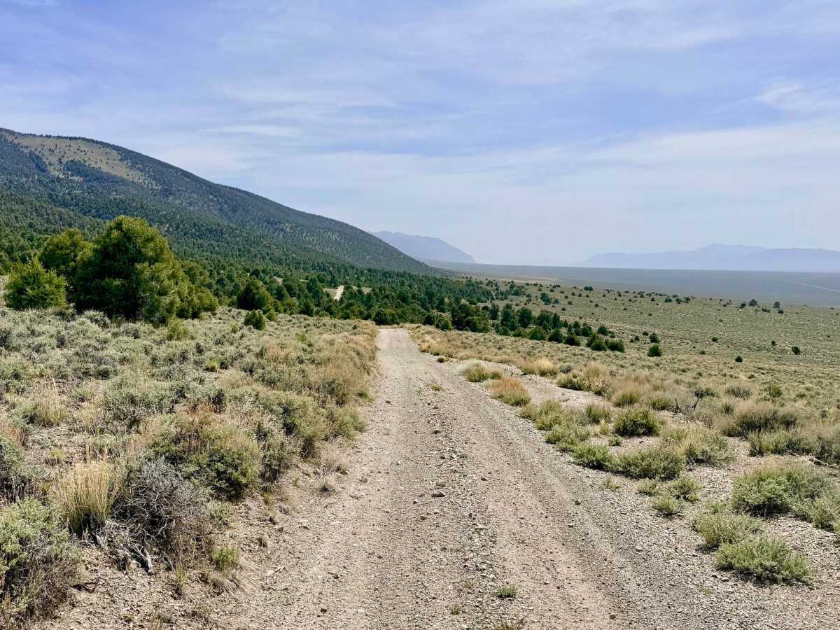 Dry Canyon Alternate - FS 43231 photo 5