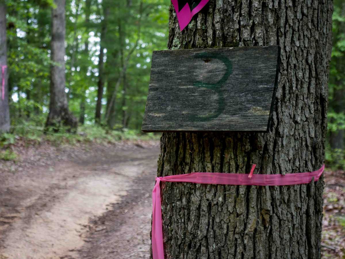 Trail 3 photo 2