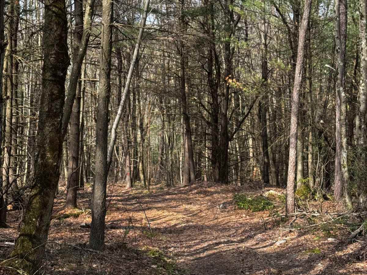Diamond Rock Trail photo 6