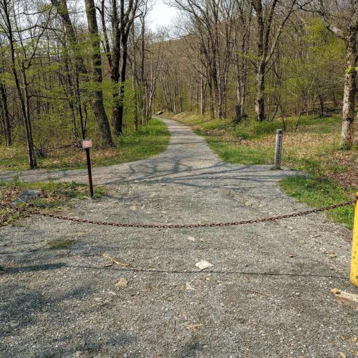 Near Rose River Loop