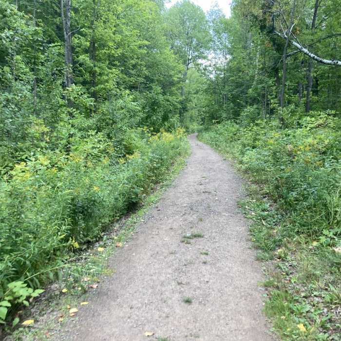 Near Morgan Falls Trail Near Morgan Falls Trail