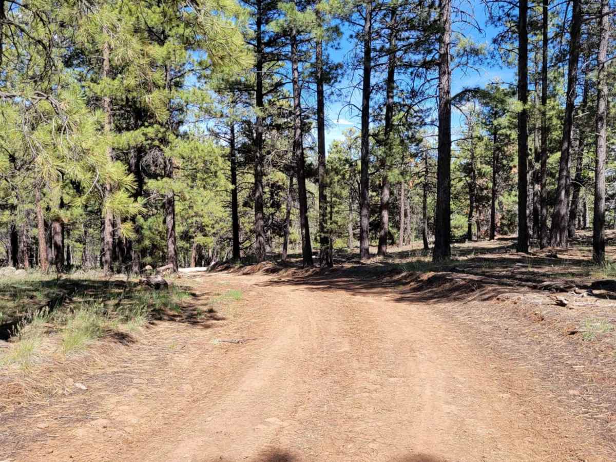Uinta Loop 2 photo 2