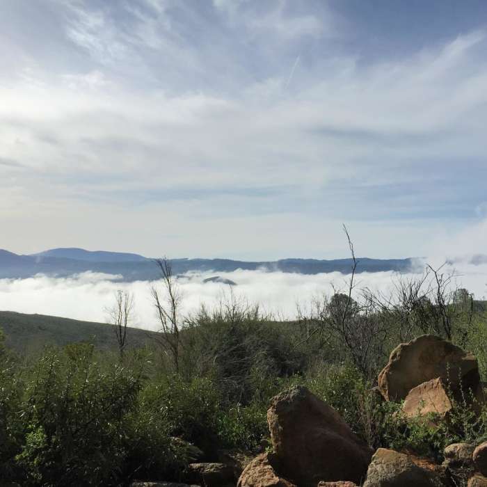 Near Wright Peak Summit Trail