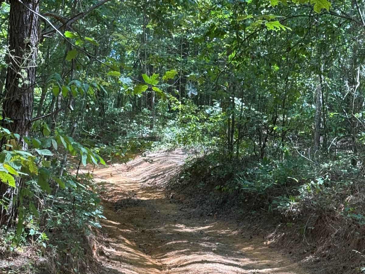 301 trail photo