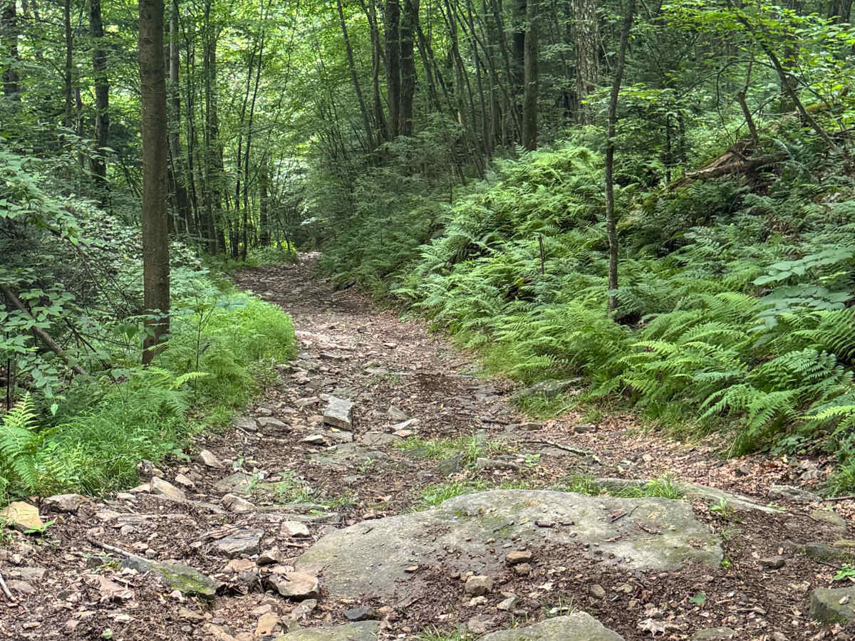 Trail 79 photo 4