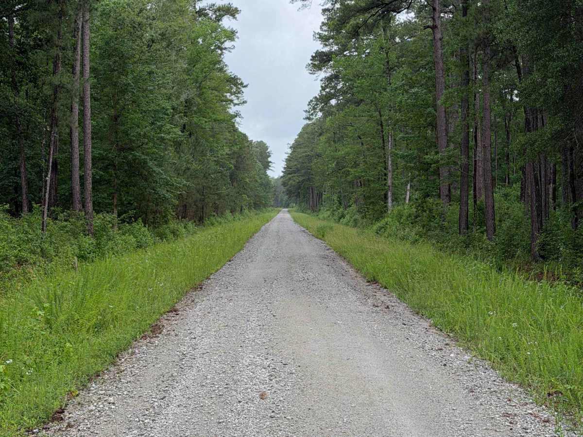 Brown Road - FS 121D photo 4