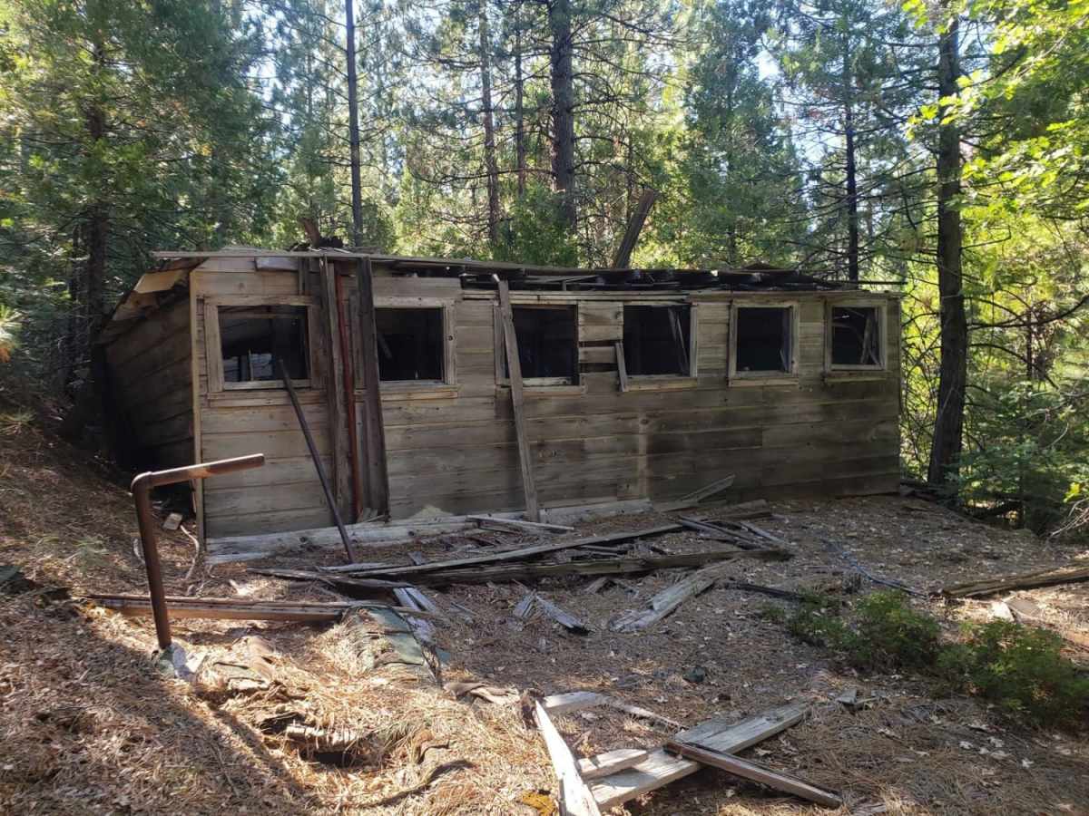 Soda Creek Logging Camp photo 5