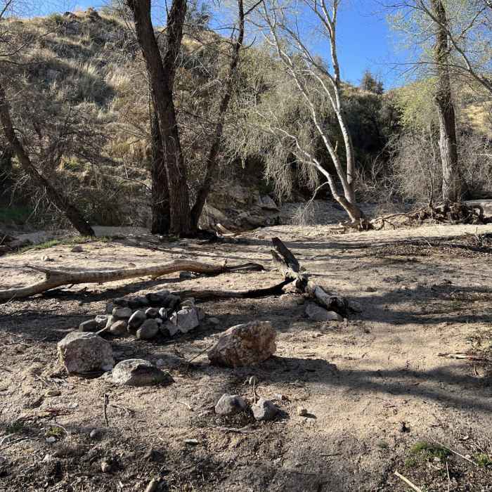 Near Arizona Trail Passage 11: Santa Catalina Mountains