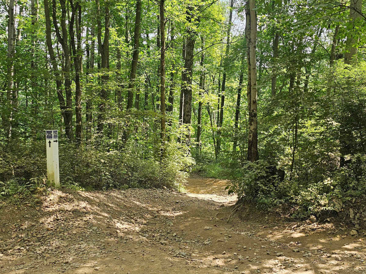 Trail 26 trail photo