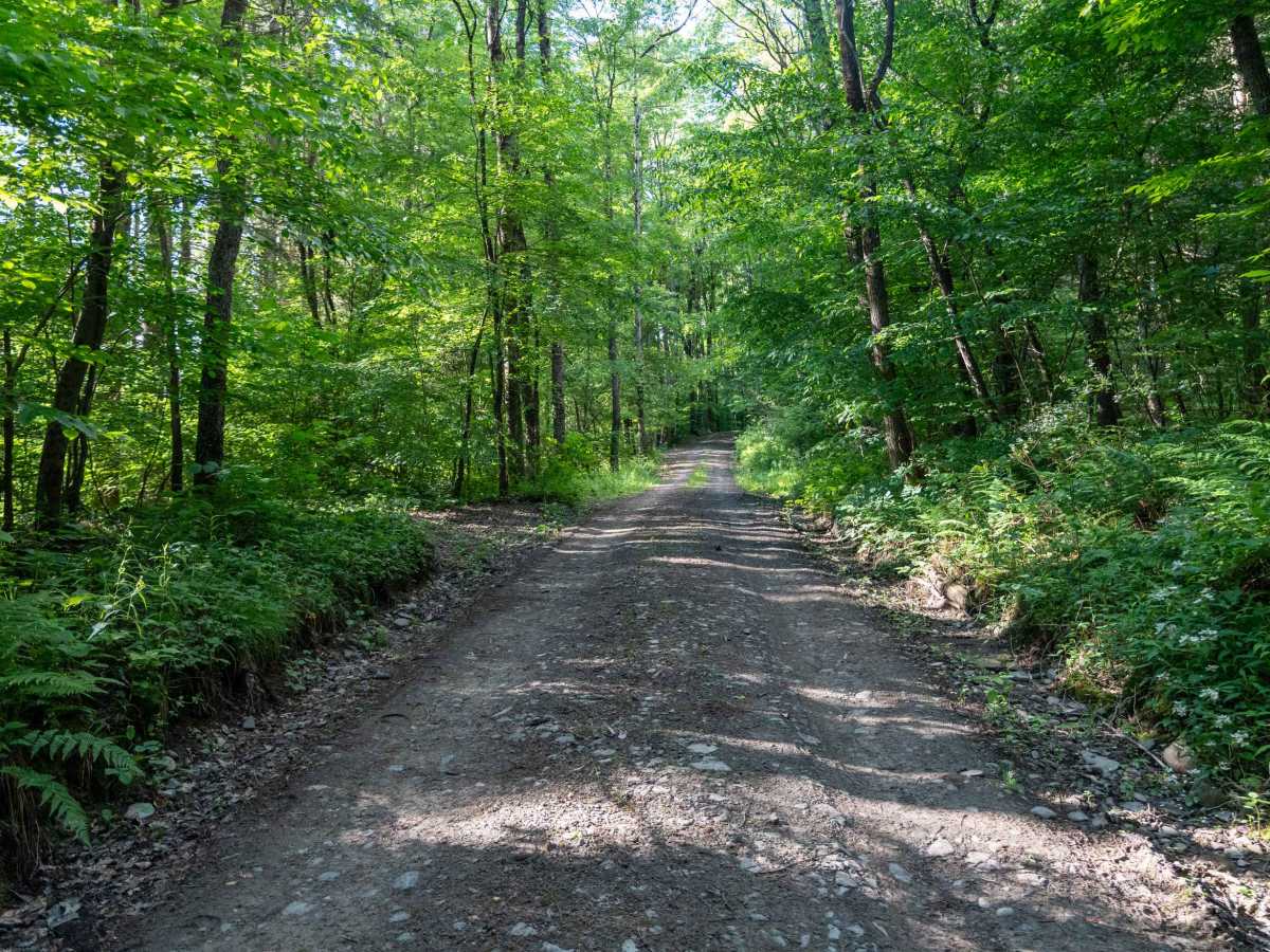 Truck Trail 9 - Kelley Road photo 2