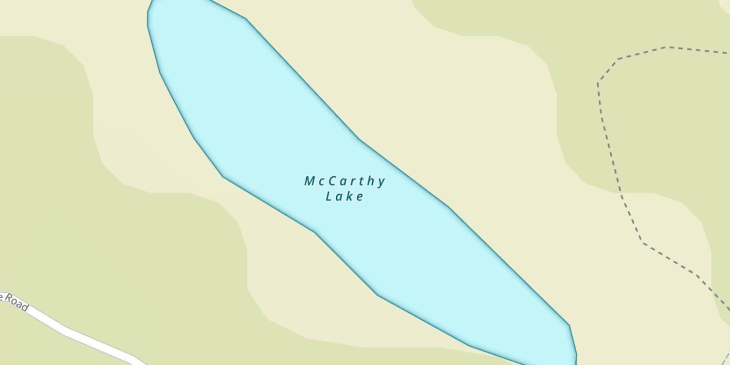 McCarthy Lake