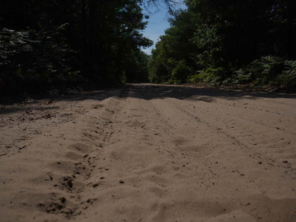 Mosquito Alley Truck Trail photo 4