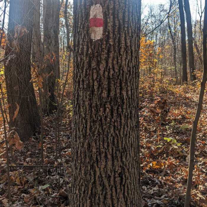 Mill Creek Trail Marker Example Near St Peters Big Run