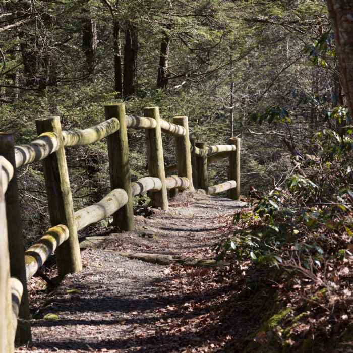 Near Shohola Falls Trail Near Shohola Falls Trail