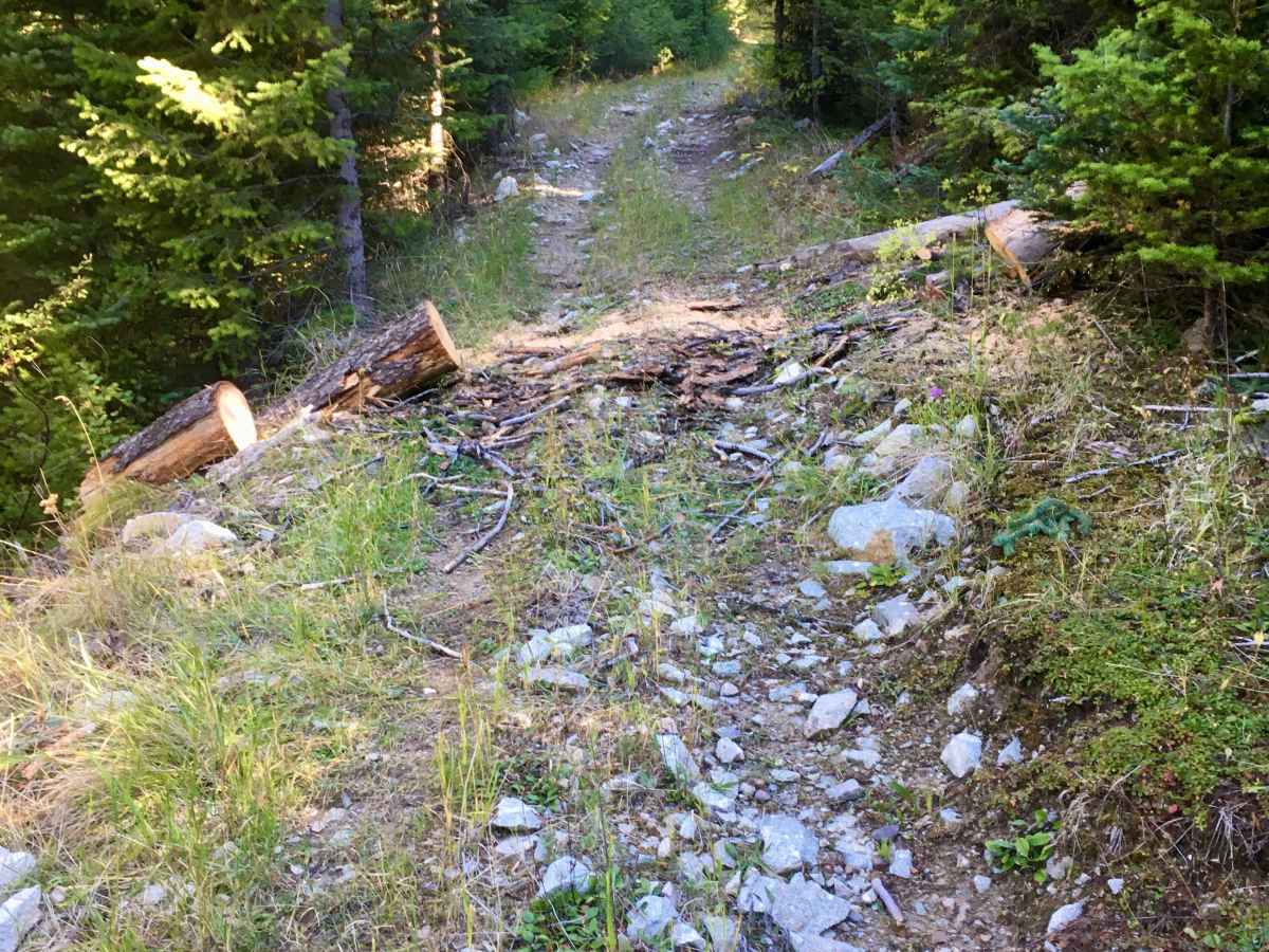 Overwhich Creek ATV Trail trail photo