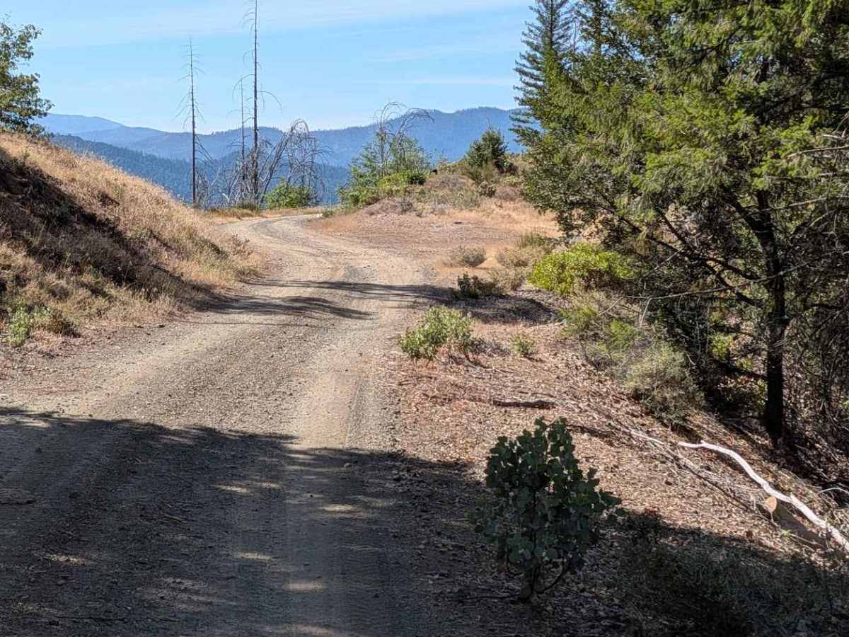 Carrier Divide Rd - FS 31N18  photo 3