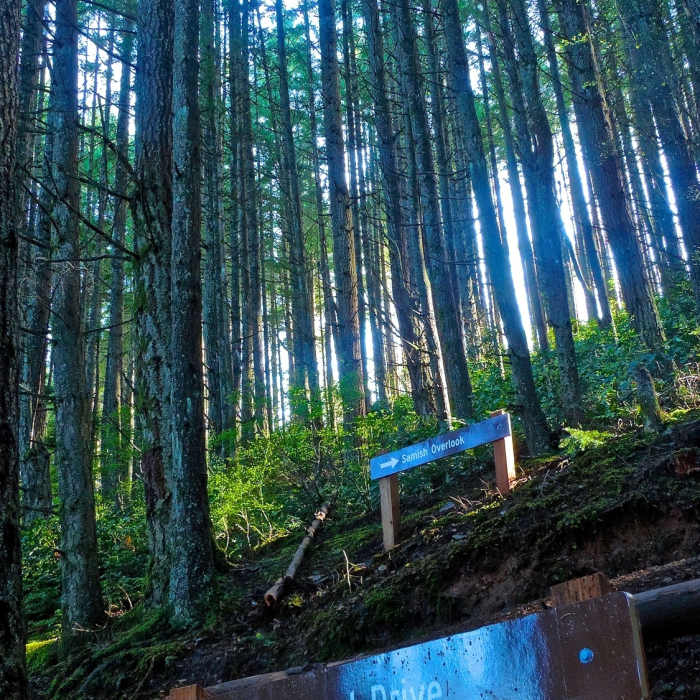 Near Chuckanut Trail
