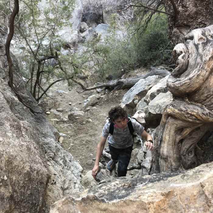 Near Bridal Wreath Falls Loop