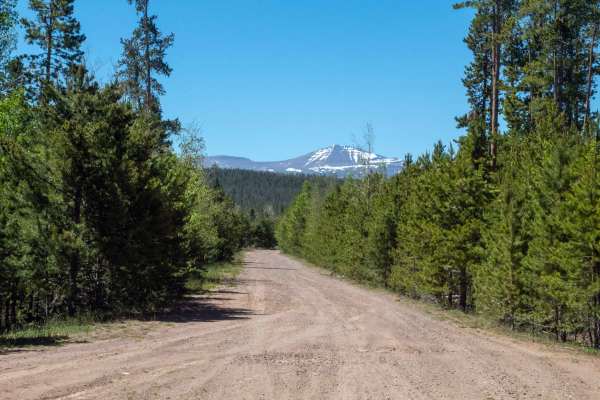 Cottonwood - FS 40013