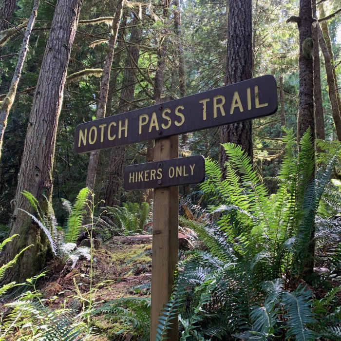 Near Notch Pass Trail