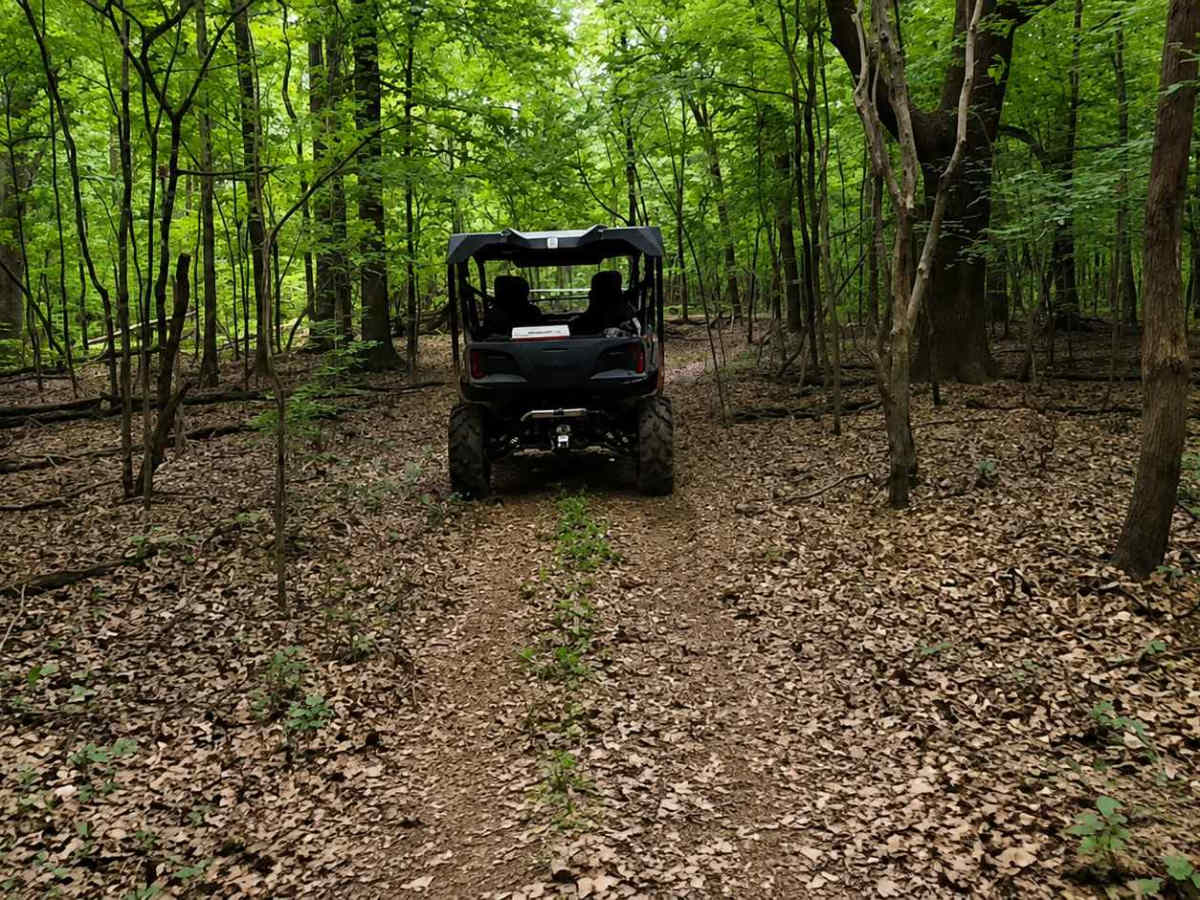 Bushwhacker Loop photo 4