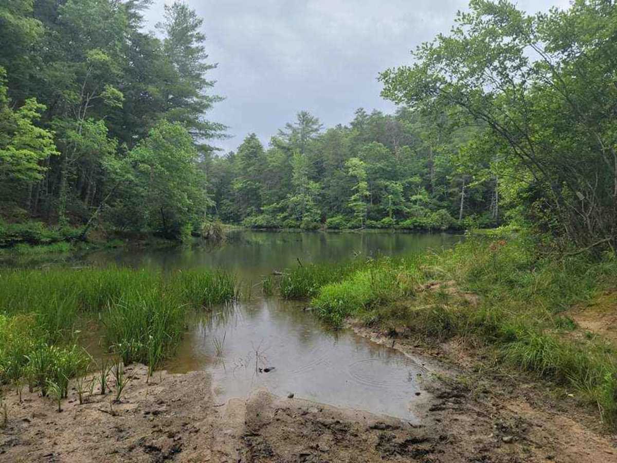 3 - Peeples Lake photo 6