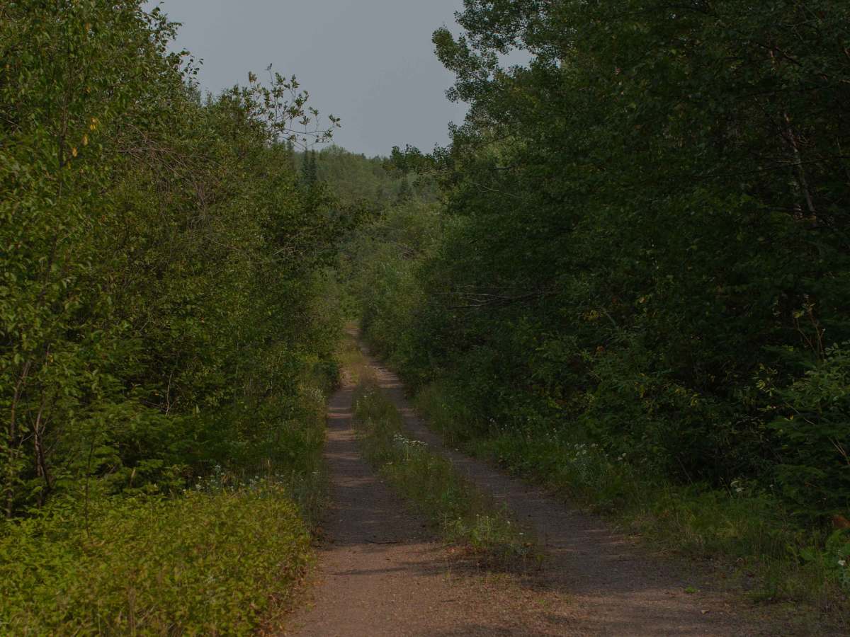 Pine Mountain Forest Road trail photo