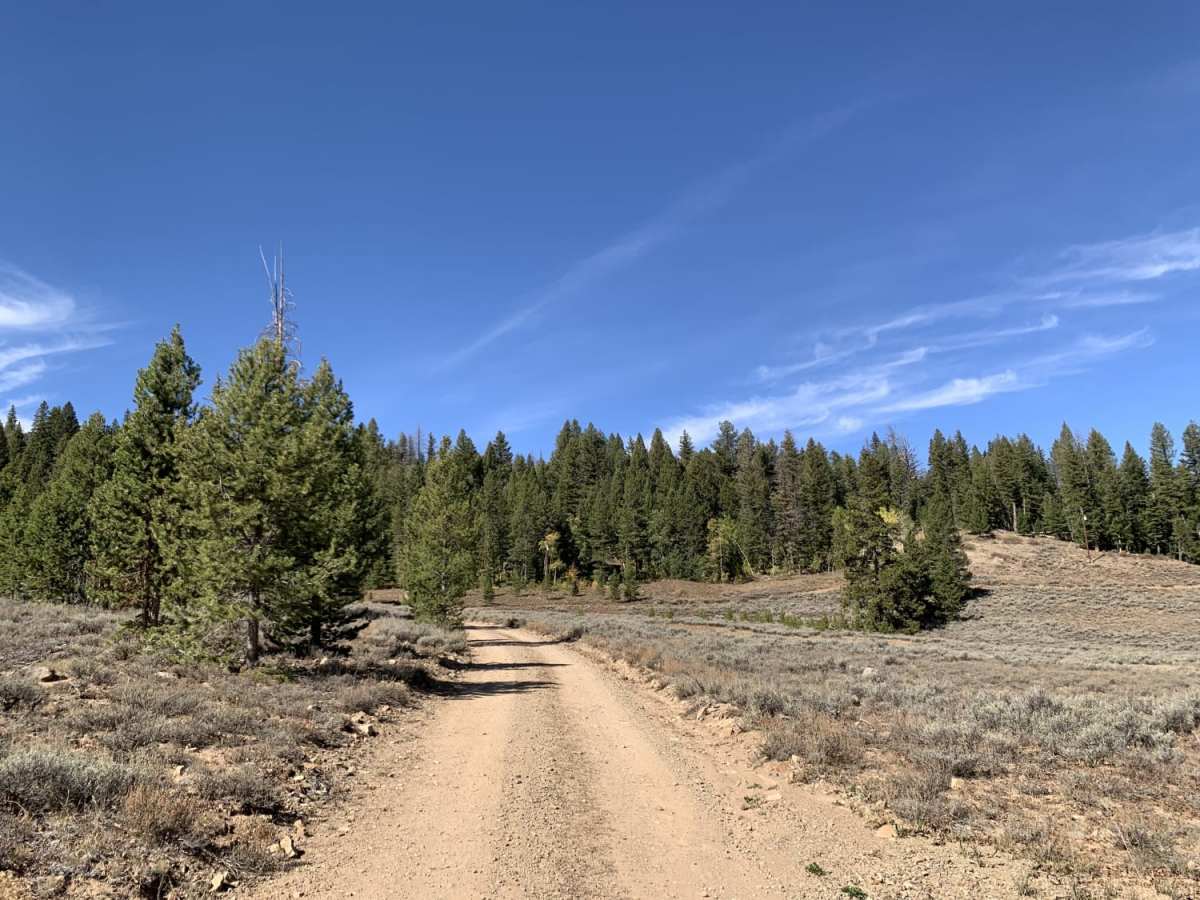 Spruce Summer Cabins Loop trail photo