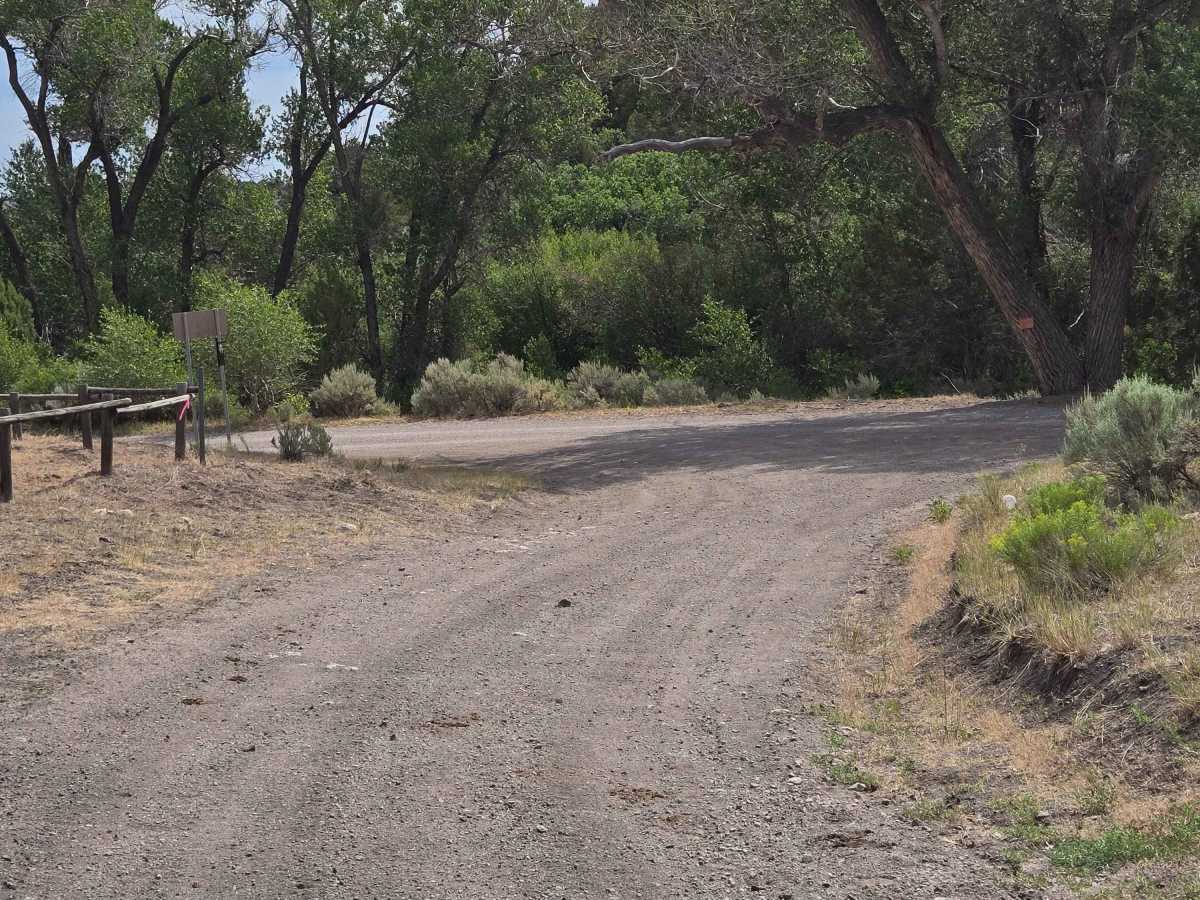 Downhill Wash Road - FS 41040 photo 5
