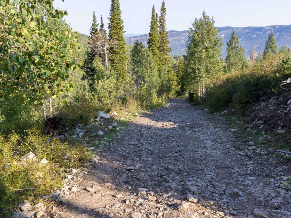 Beaver Creek Road photo 4