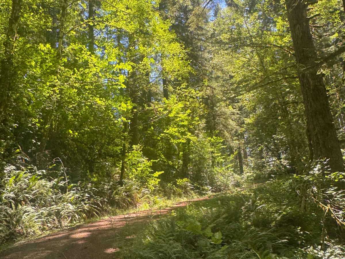 Coast Ridge - FS 2202 photo 5