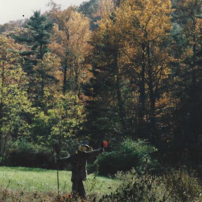 Near Little Glassy Mountain Trail