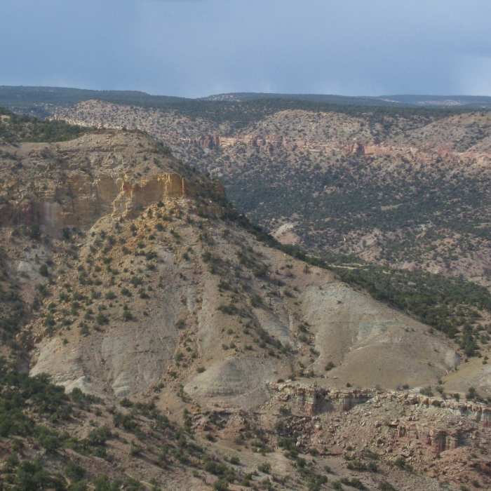 Near McCarty Trail