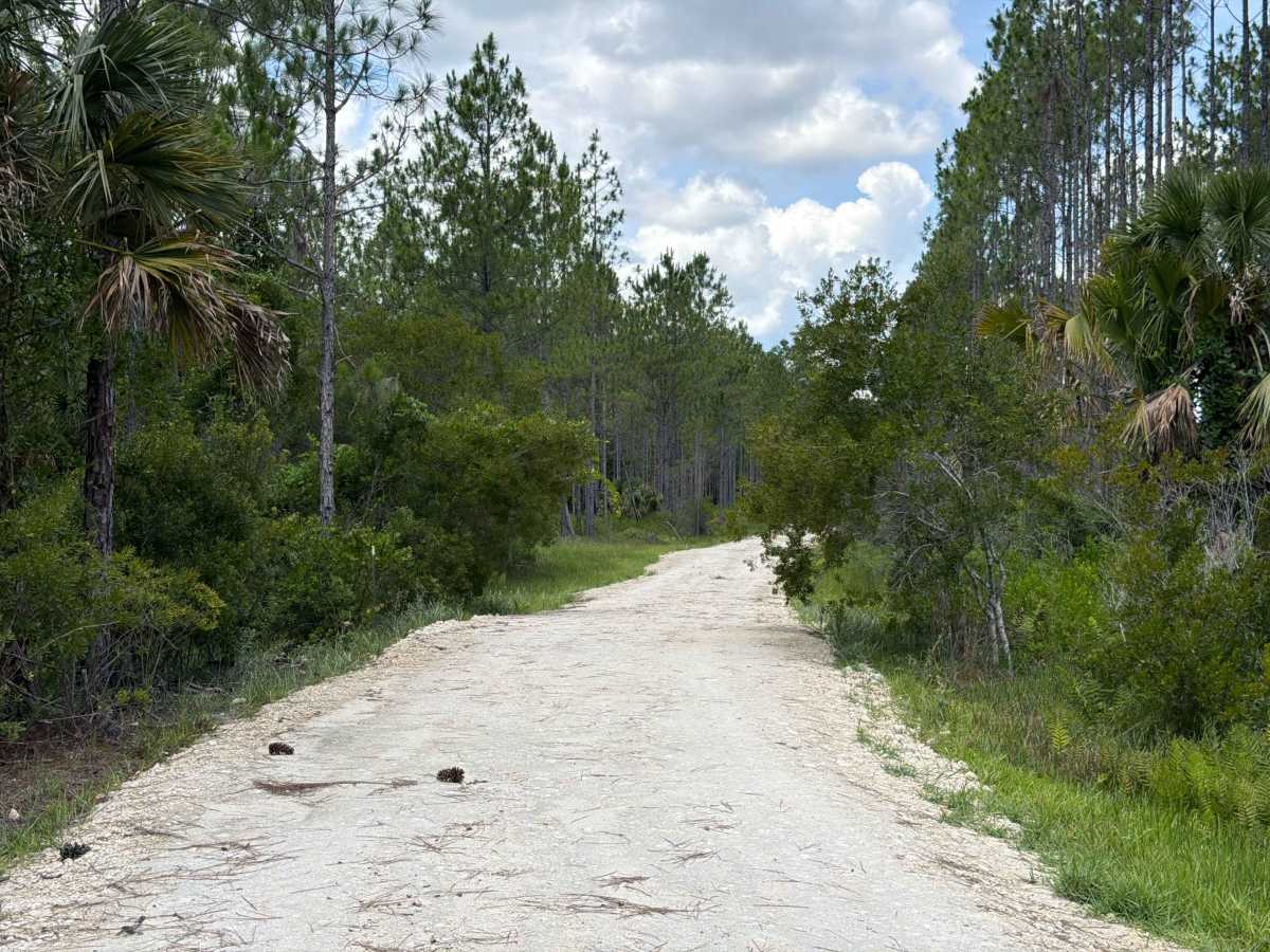 Price Road photo 5