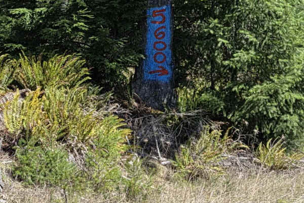 5600
