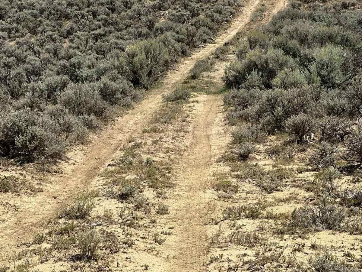 Mesa View Road photo 5