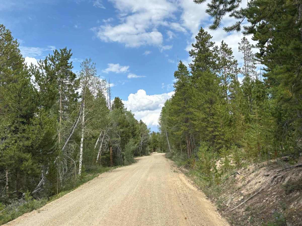 Willow Creek Road photo 4