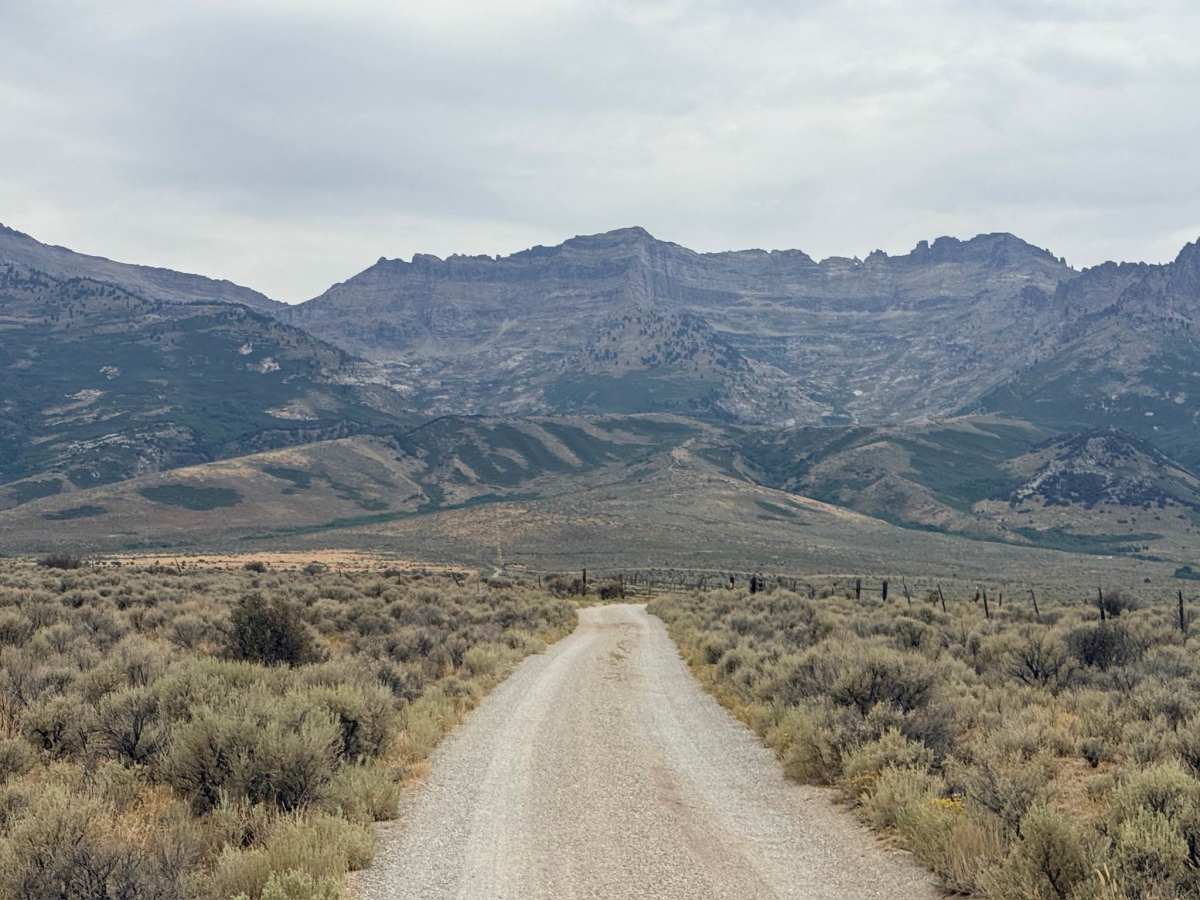 Weeks Access FS 57103 trail photo