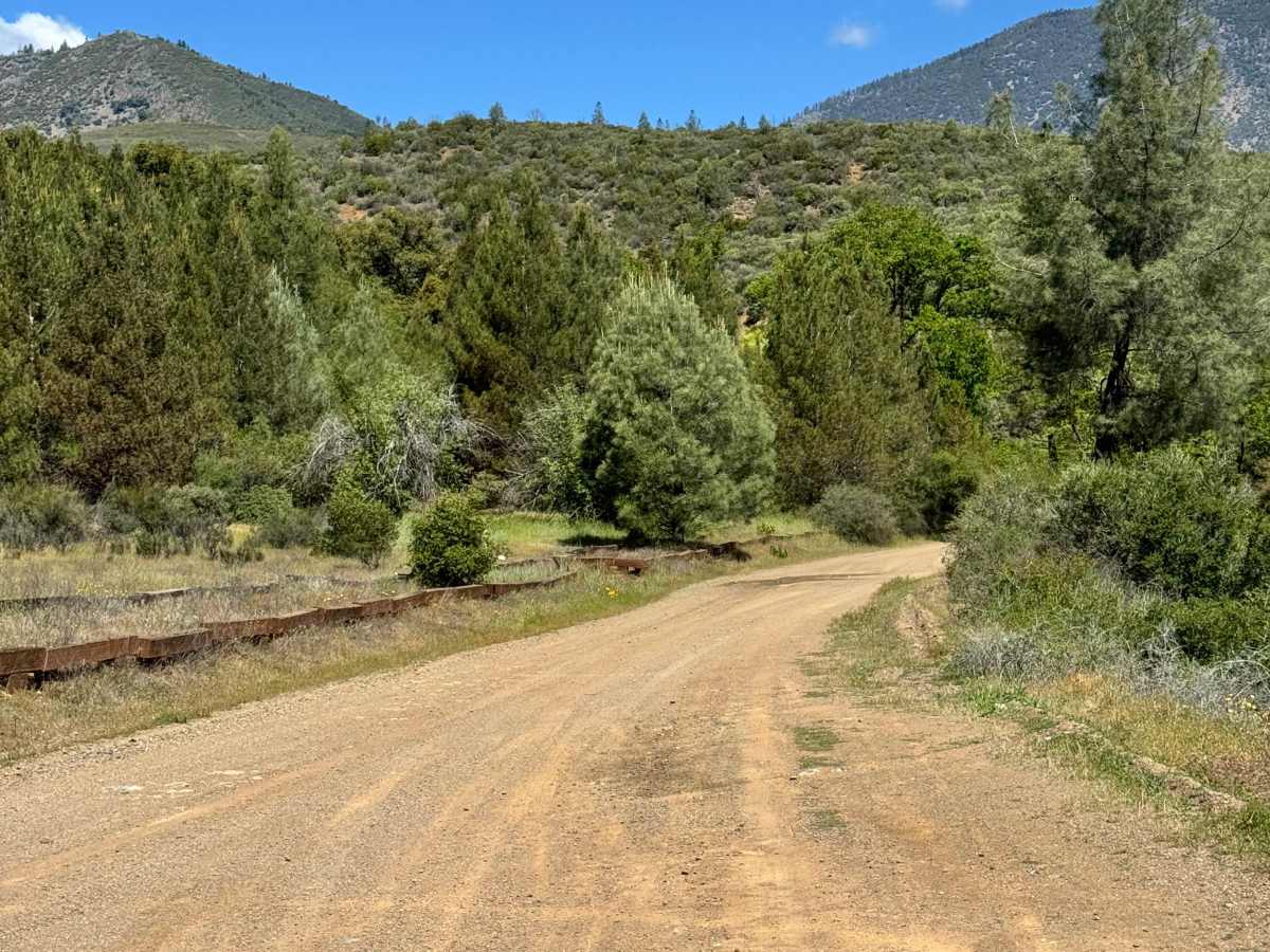 North Fork - FS 18N03 trail photo