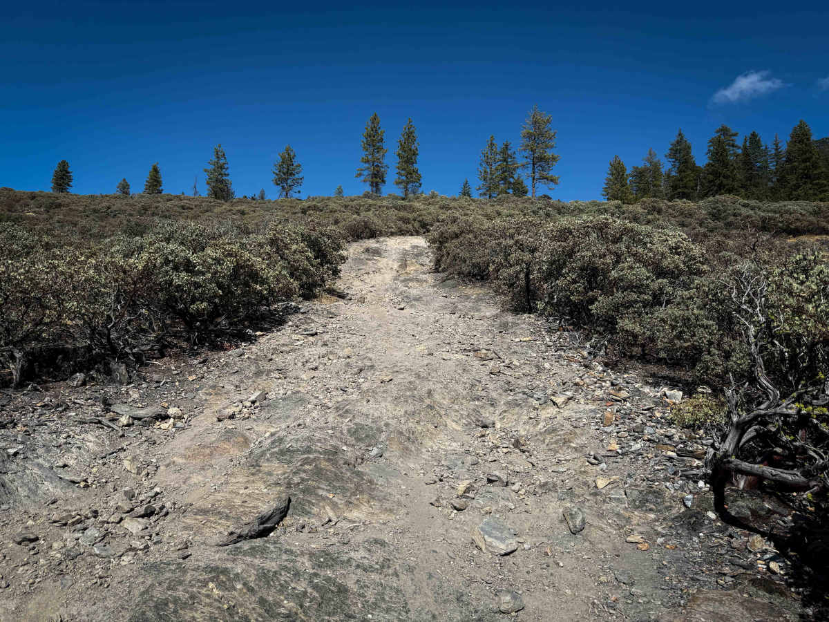Trail 1 (Advanced) (11E23)  photo 5