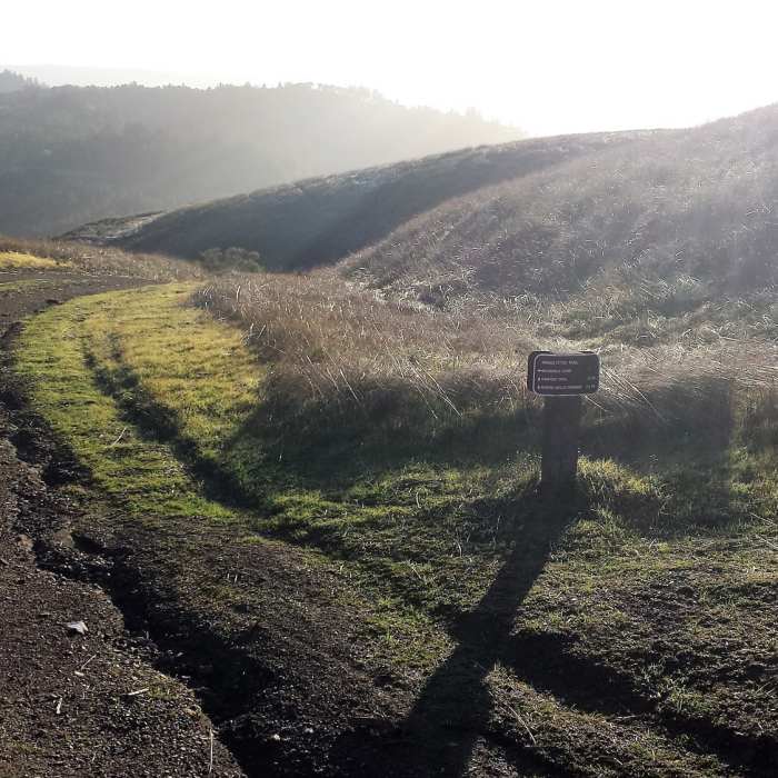 Near Old Ranch Trail