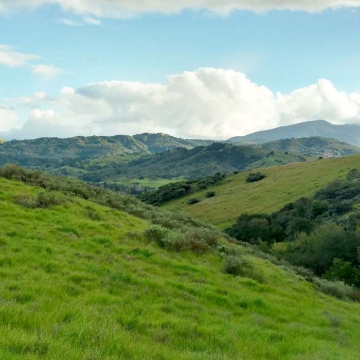 Near Stile Ranch Trail