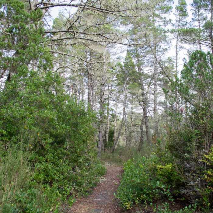Near Lagoon Loop Trail
