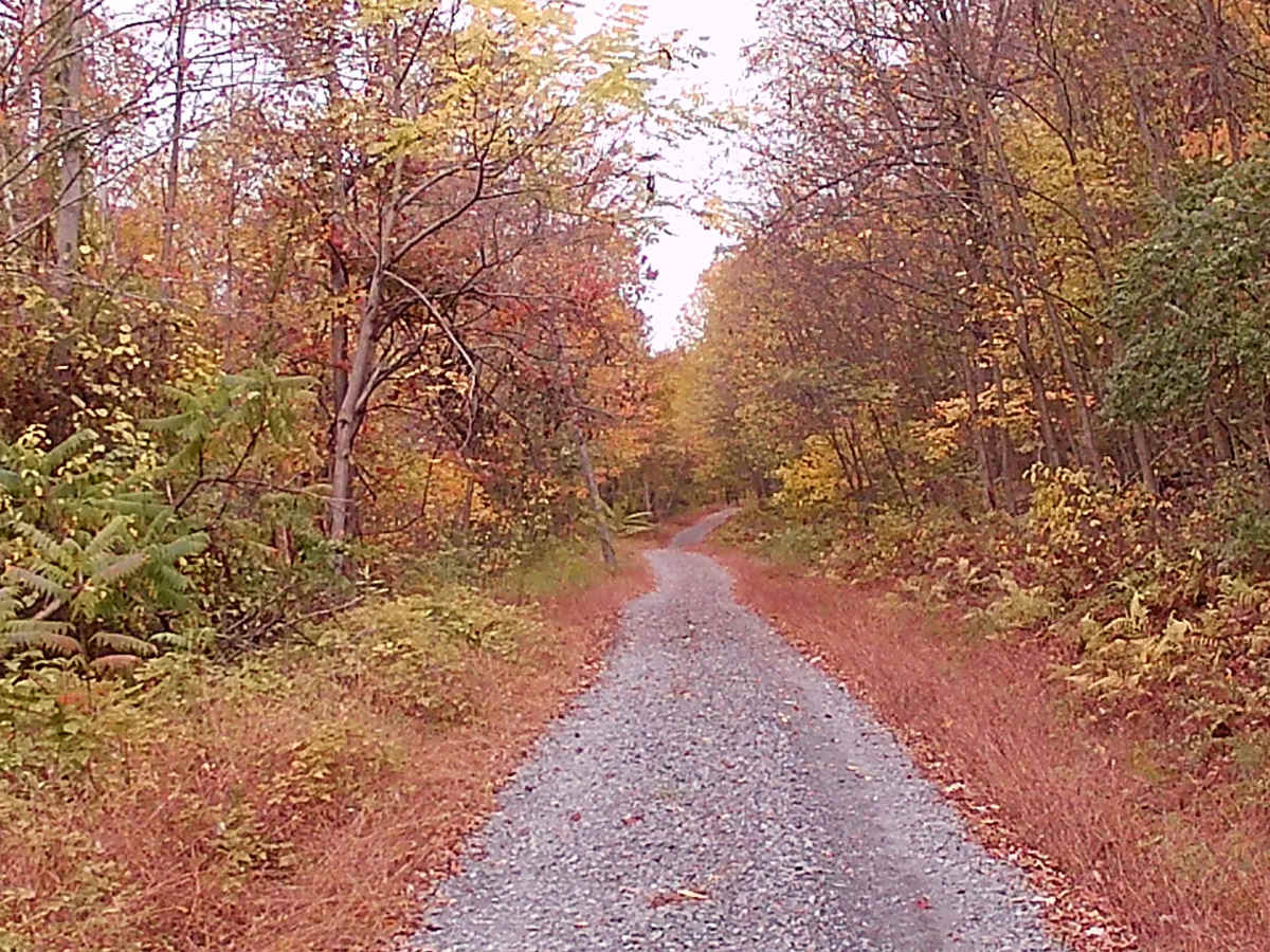 Lamb Gap Trail photo 5