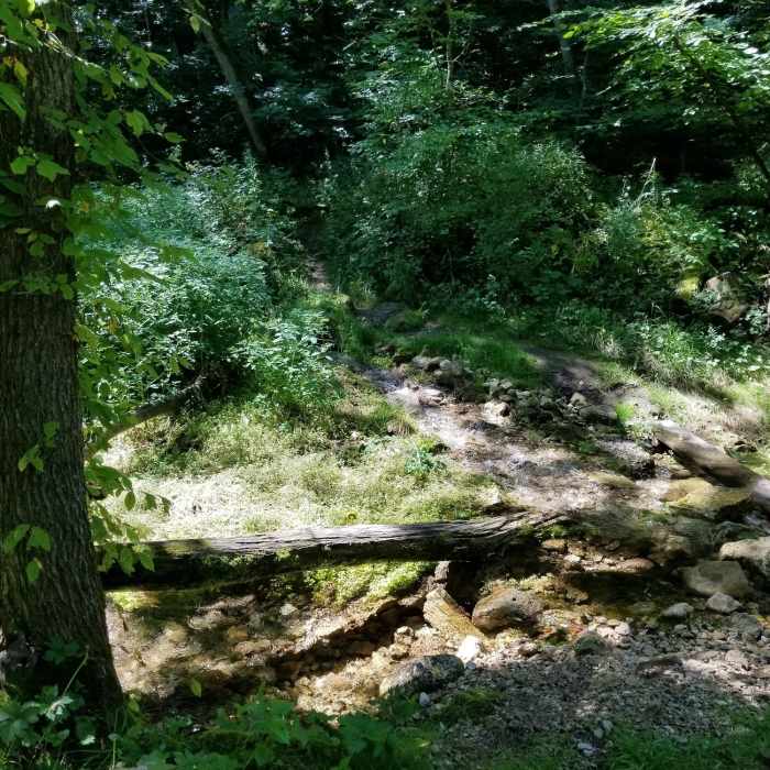 Creek crossing Near Switch Back Trail
