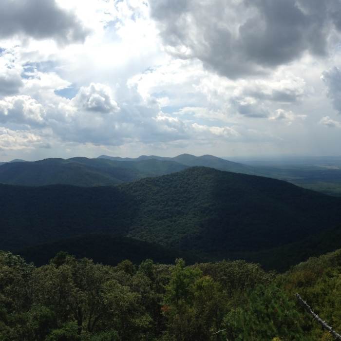 Near Rocky Mount Trail